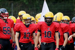 九游9游-中超球员年度射门类型结构分类，足球门将射门