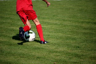 JiuyouAPP下载-中超球员年度技术评分标准体系，中超球员技术统计